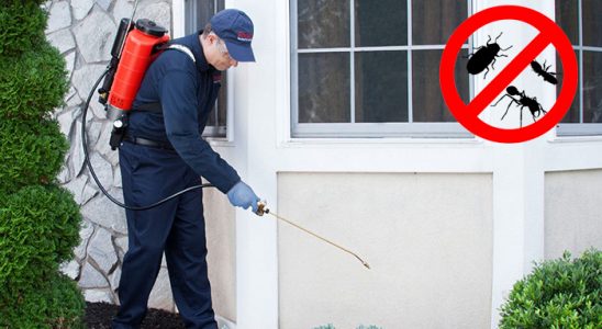 Yığılca Akrep İlaçlama böcek ilaçlama ve haşere kontrolü — ilaclama-tr.com
